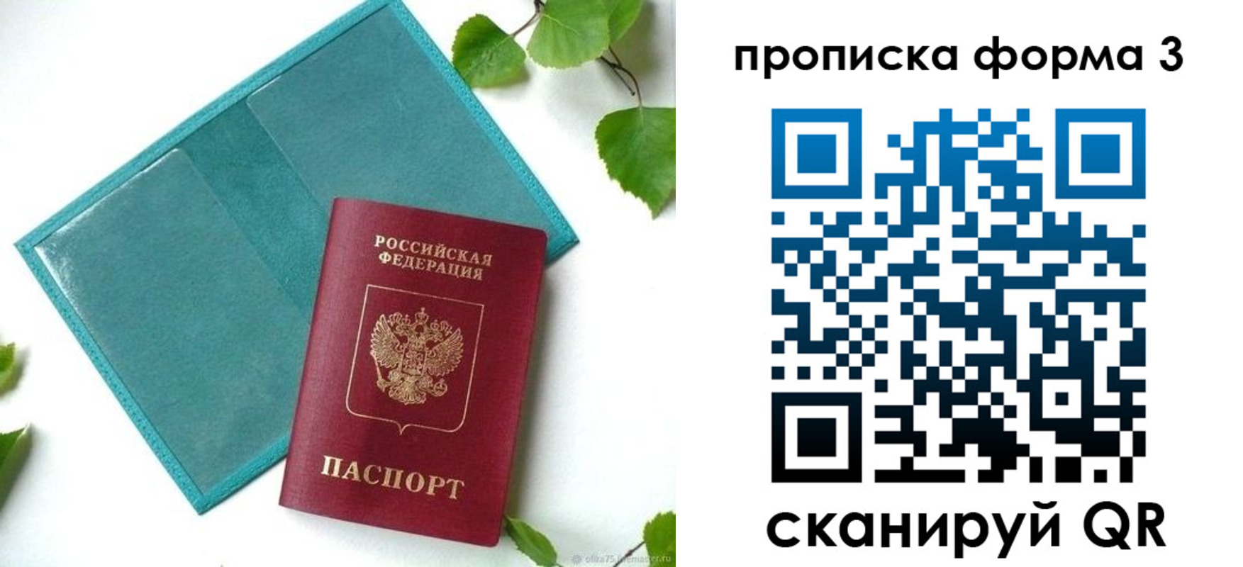 прописка ребенка в Грозном